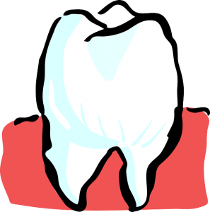 tooth-25594_640